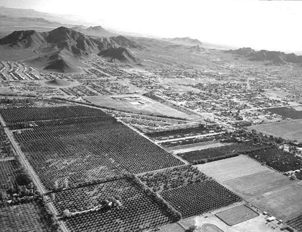 Aerial view of Scottsdale citrus groves and farmland, mid-20th century