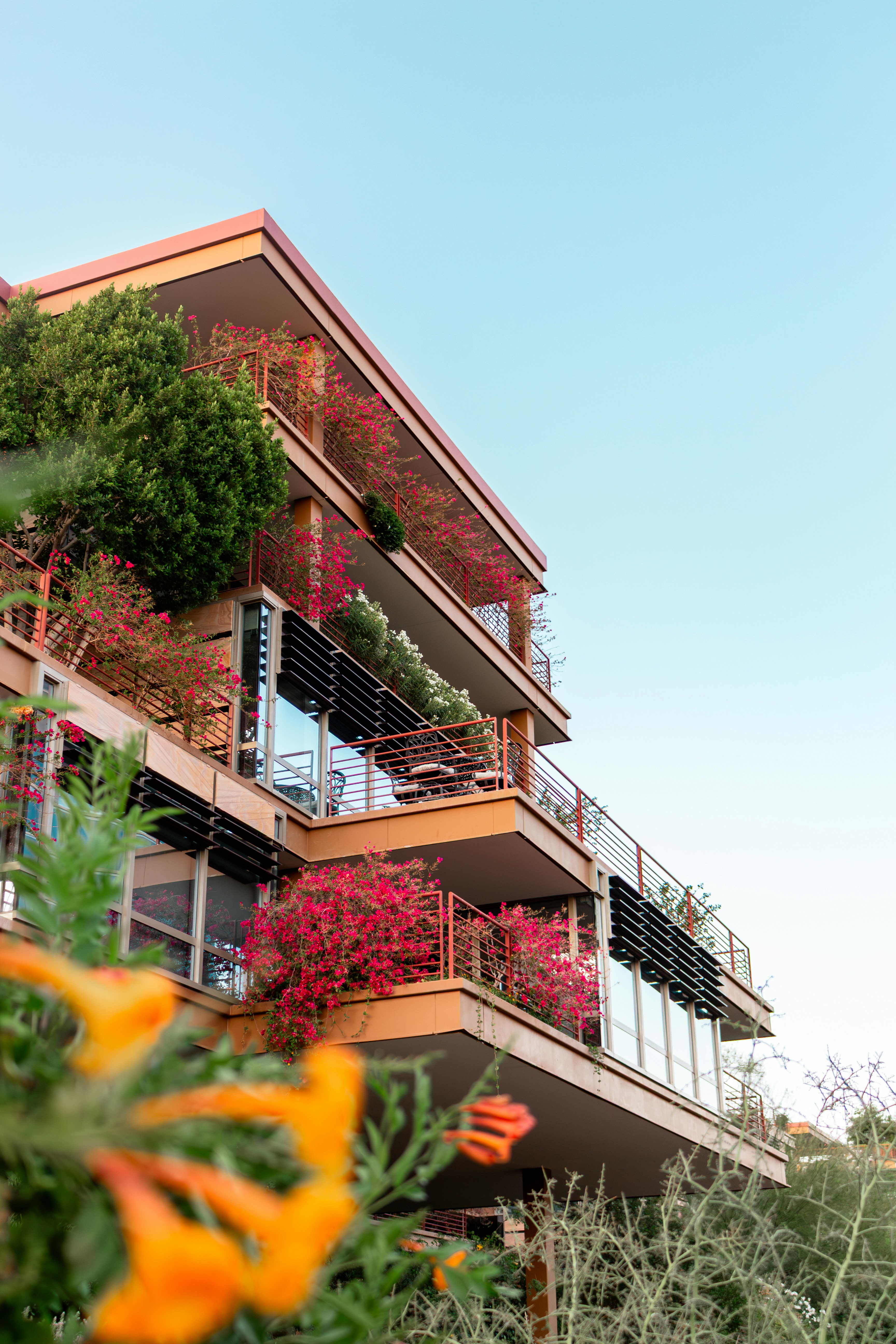 Old Town Scottsdale condo building with bougainvillea-lined balconies